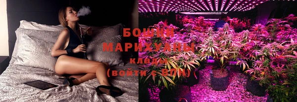 прущие крисы Балахна