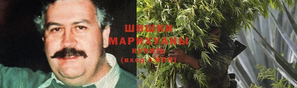 прущие крисы Балахна
