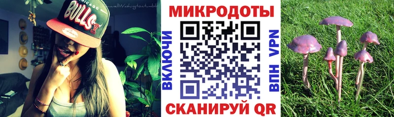 Псилоцибиновые грибы мицелий  Вяземский 